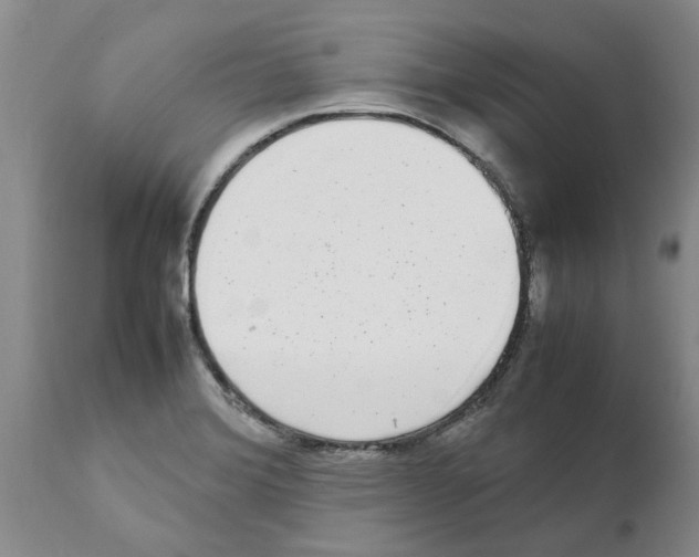 X0000111531372200908251152