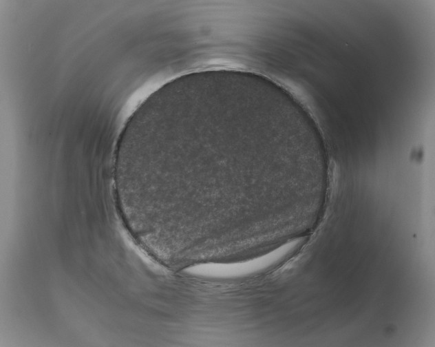 X0000111531373200908251152