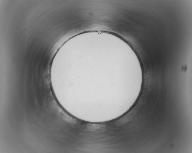 X0000111531374200908251152