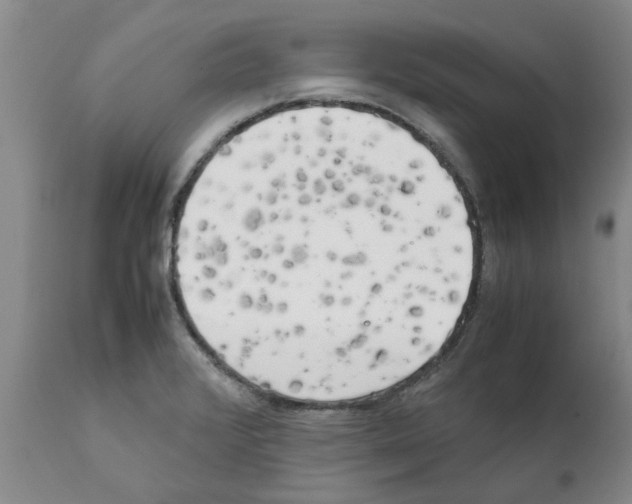 X0000111531376200908251152