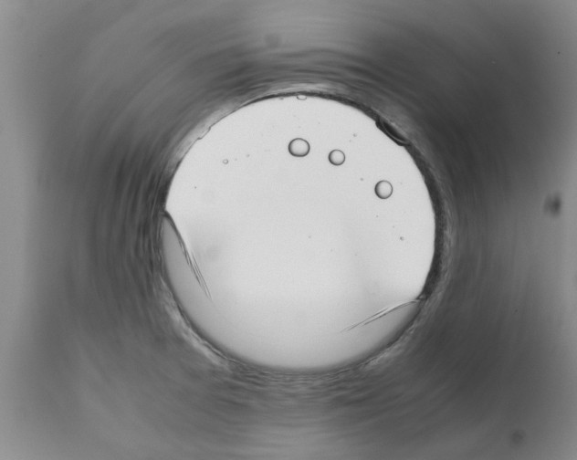 X0000111531377200908251152