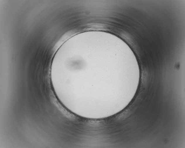 X0000111531378200908251152