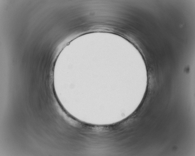 X0000111531379200908251152