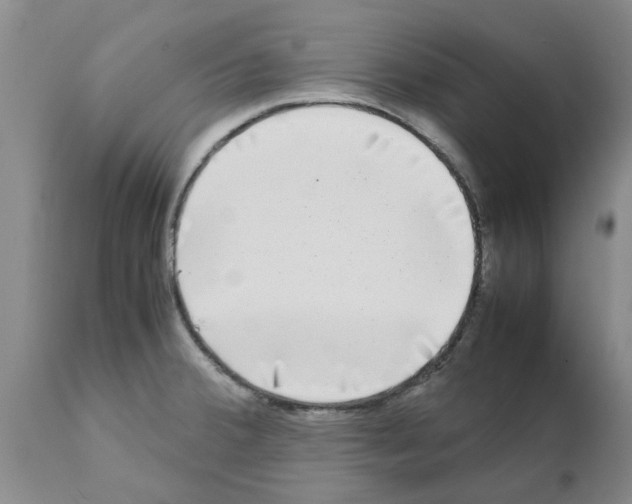 X0000111531380200908251152