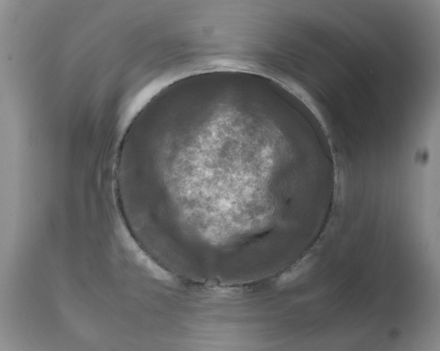 X0000111531381200908251152