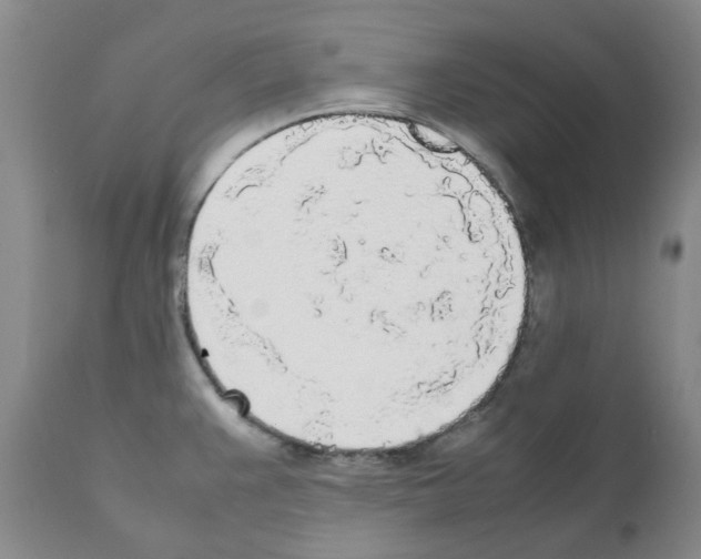 X0000111531383200908251151