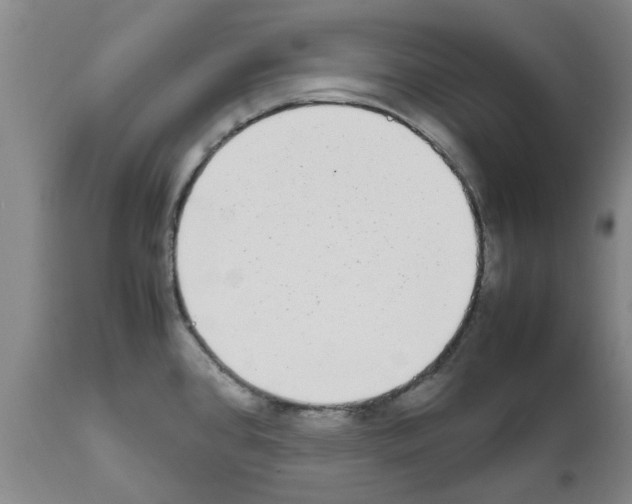 X0000111531384200908251151