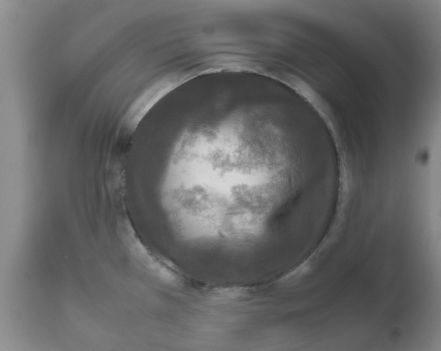 X0000111531385200908251151