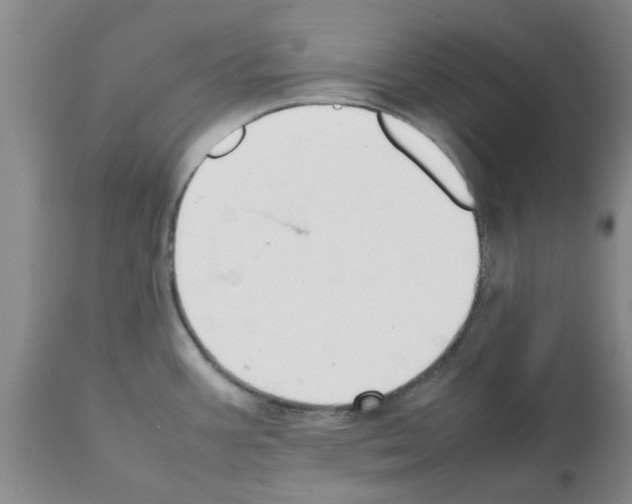 X0000111531387200908251151