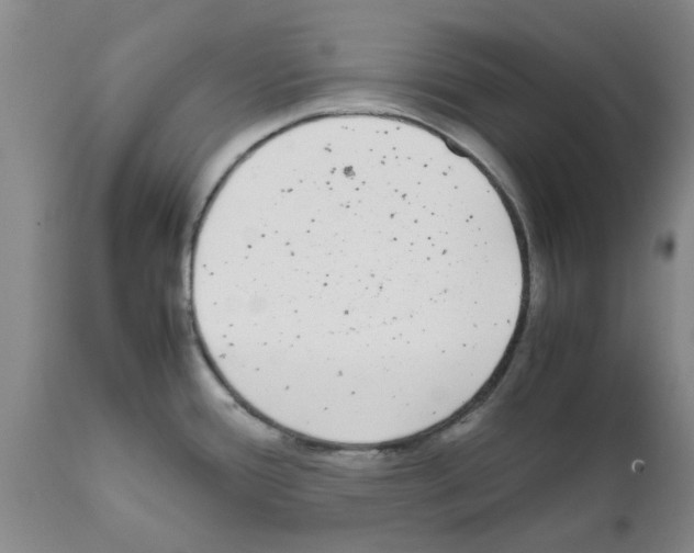 X0000111531388200908251151