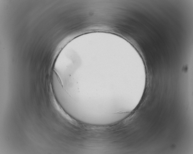 X0000111531389200908251151