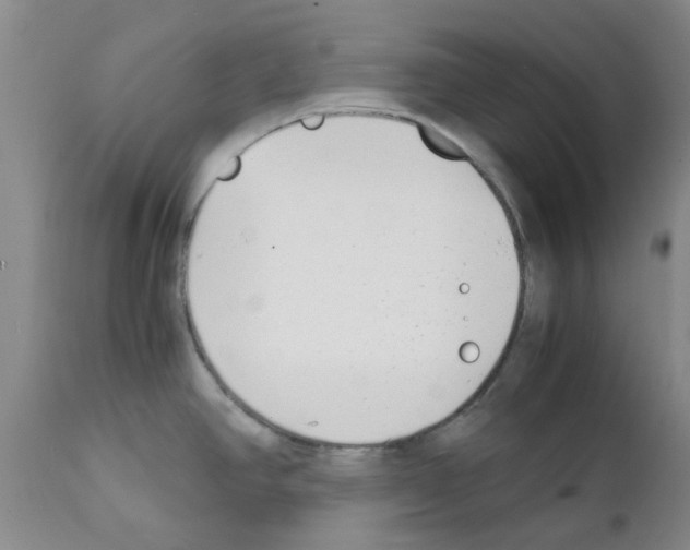 X0000111531390200908251151