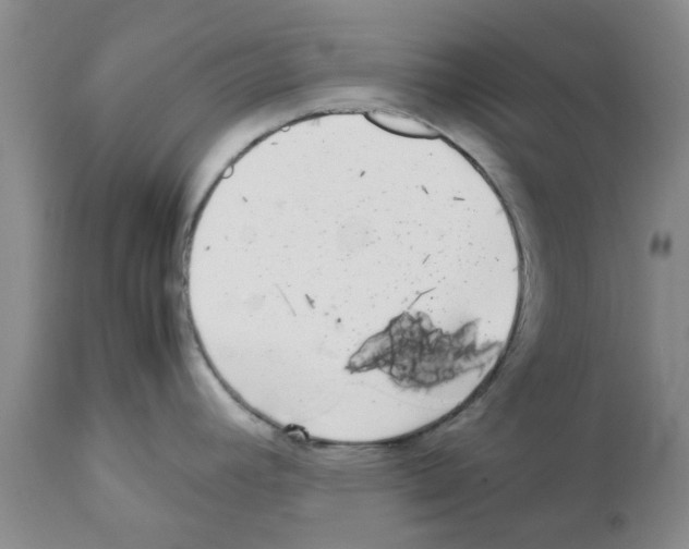 X0000111531392200908251151