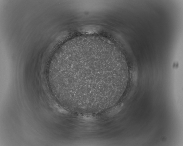 X0000111531393200908251151