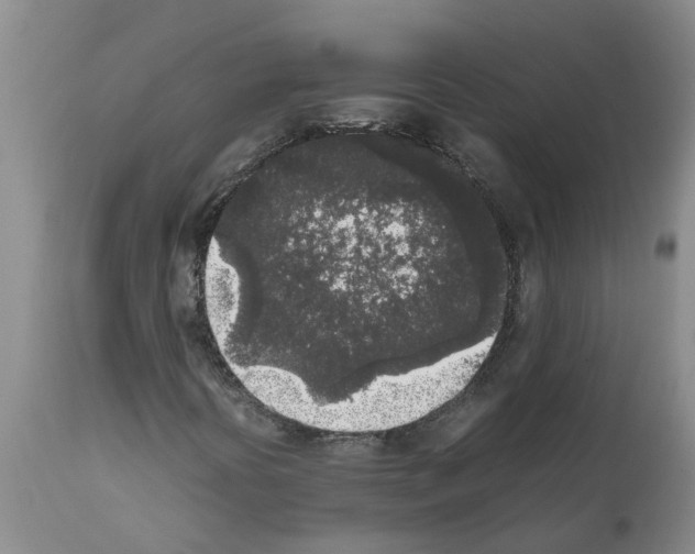 X0000111531394200908251151