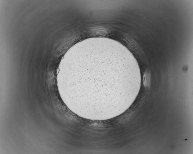 X0000111531395200908251151