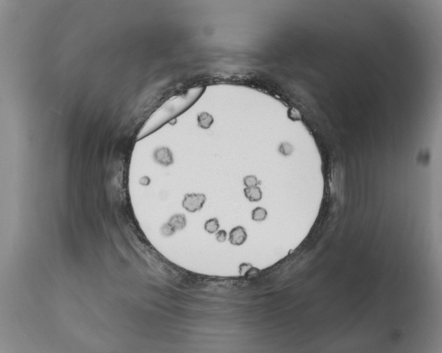 X0000111531396200908251151