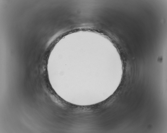 X0000111531400200908251151