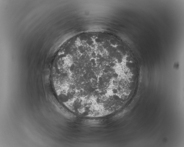 X0000111531401200908251151