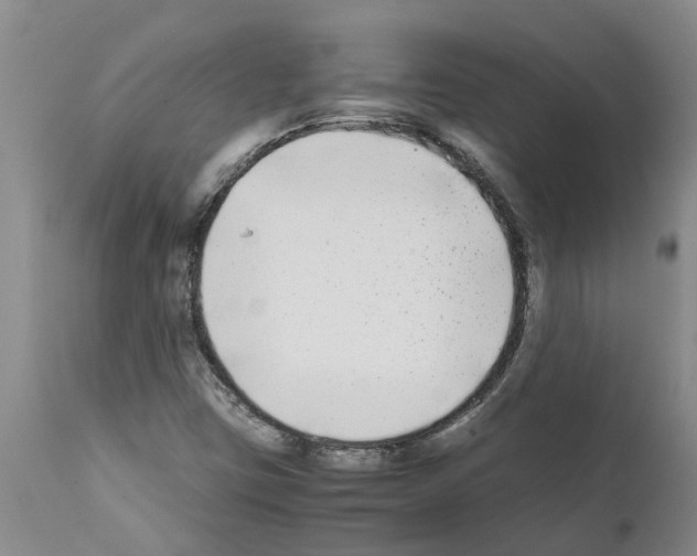 X0000111531403200908251151