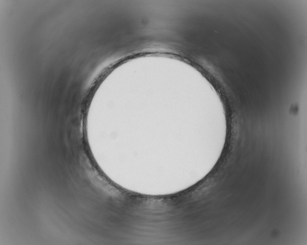 X0000111531408200908251151