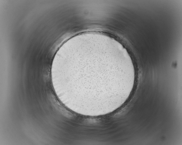 X0000111531409200908251151