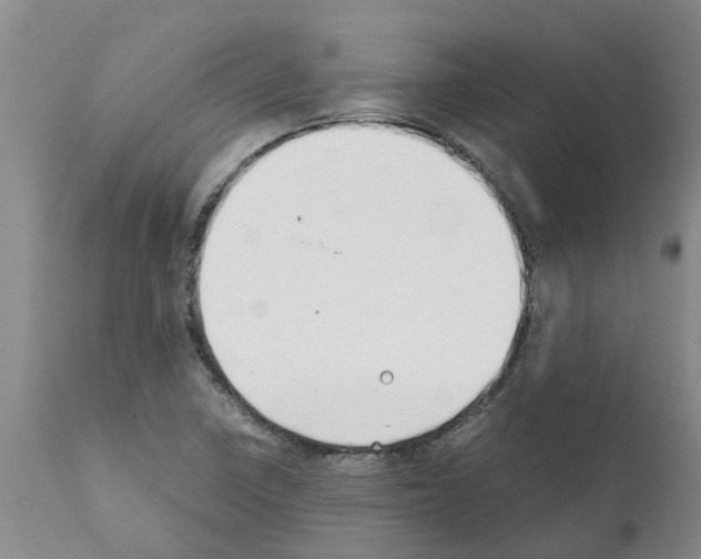 X0000111531410200908251151