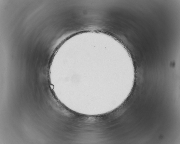 X0000111531412200908251151