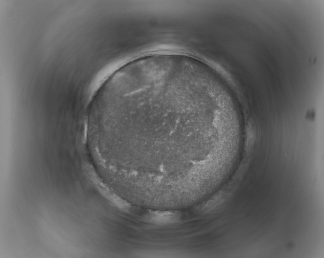 X0000111531413200908251151