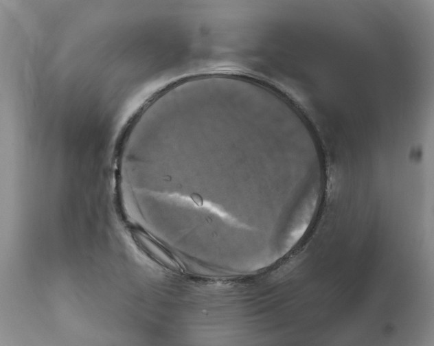 X0000111531414200908251151