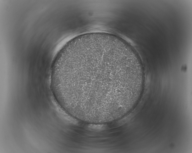 X0000111531415200908251151