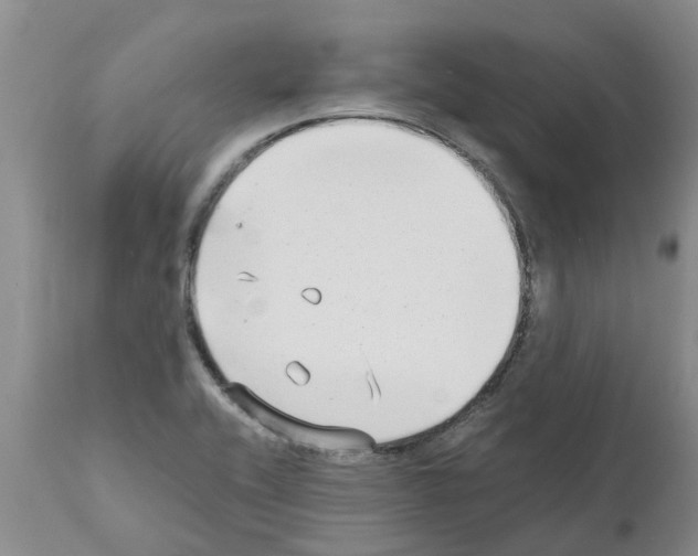 X0000111531416200908251151