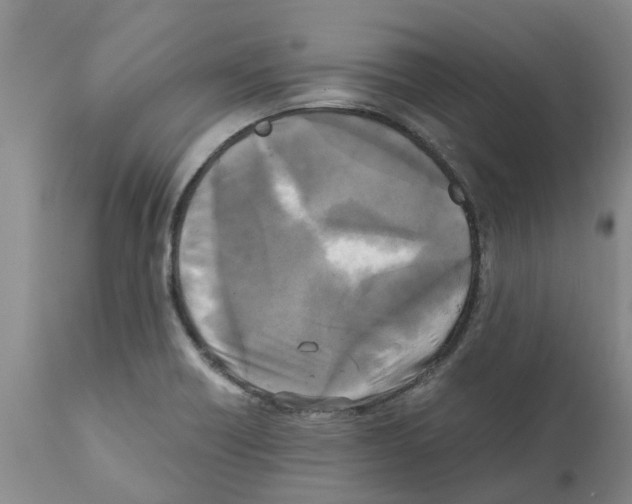 X0000111531418200908251151