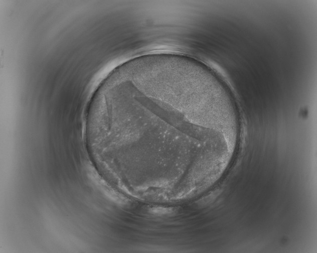 X0000111531419200908251151