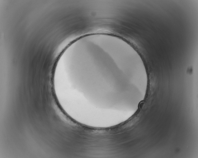 X0000111531422200908251151