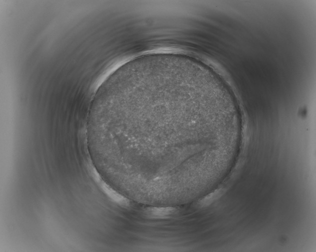 X0000111531425200908251151