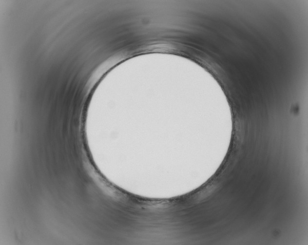 X0000111531426200908251151