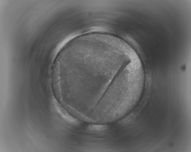 X0000111531427200908251151