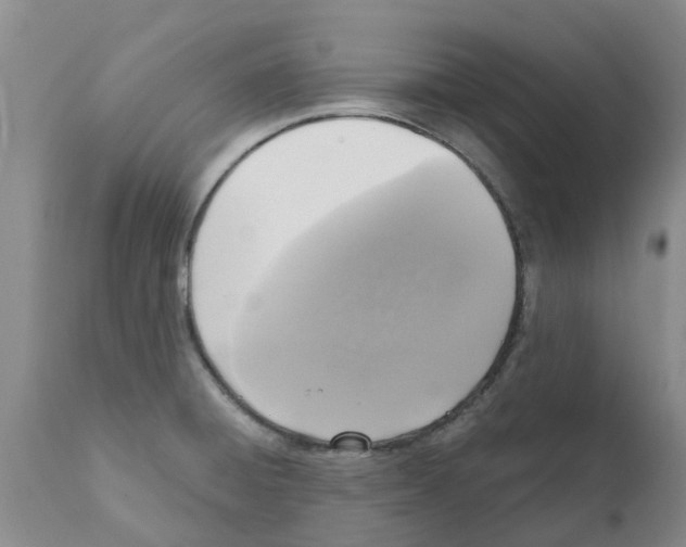 X0000111531428200908251151