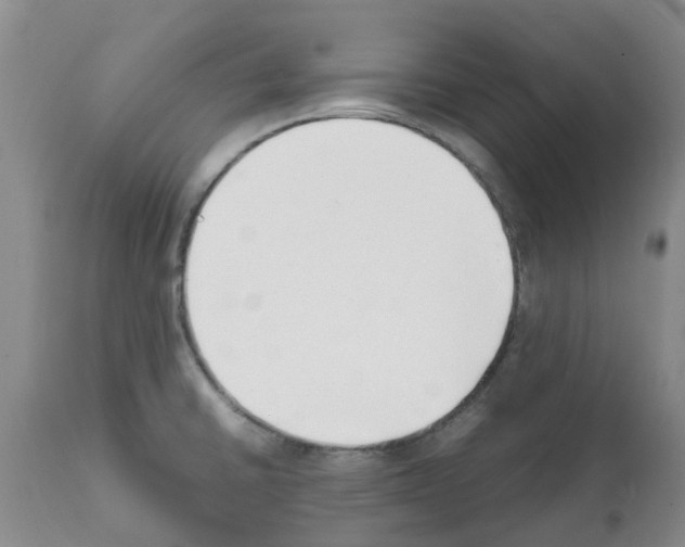 X0000111531430200908251151