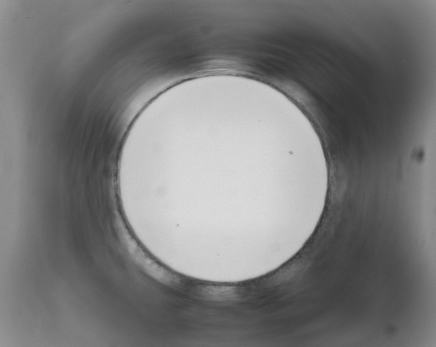 X0000111531431200908251151