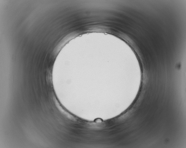 X0000111531433200908251151