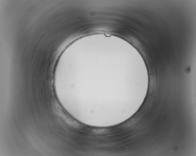 X0000111531435200908251151