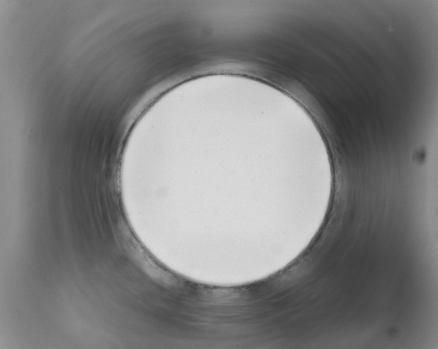 X0000111531436200908251151