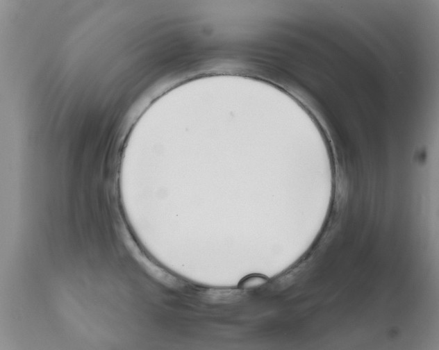 X0000111531437200908251151