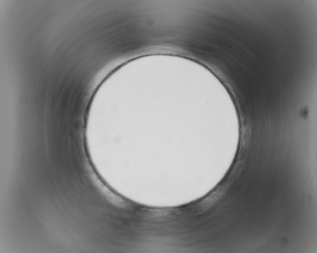 X0000111531438200908251151