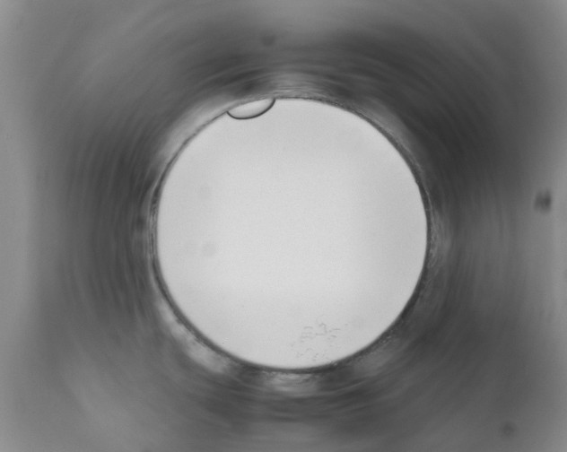 X0000111531439200908251151