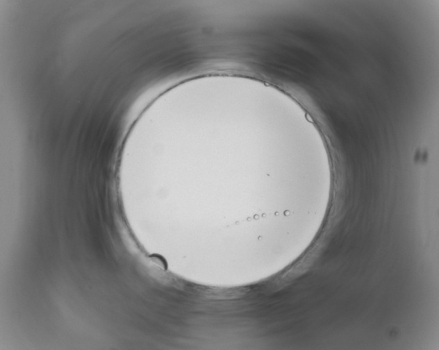 X0000111531440200908251151