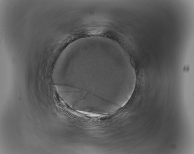 X0000111531441200908251151