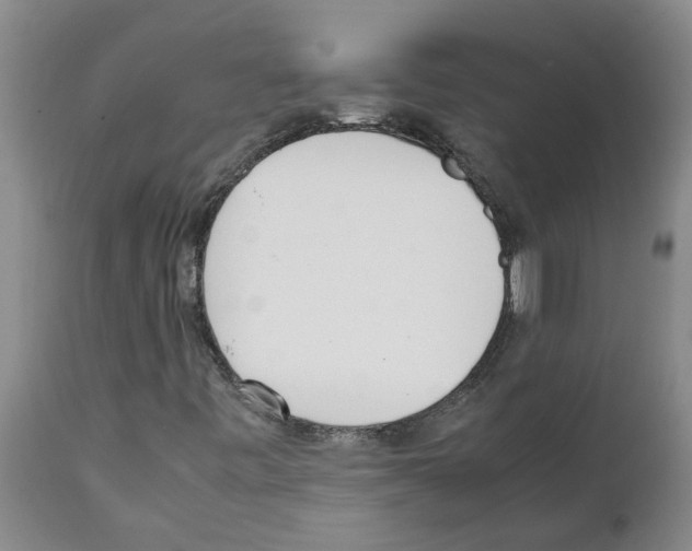 X0000111531443200908251151